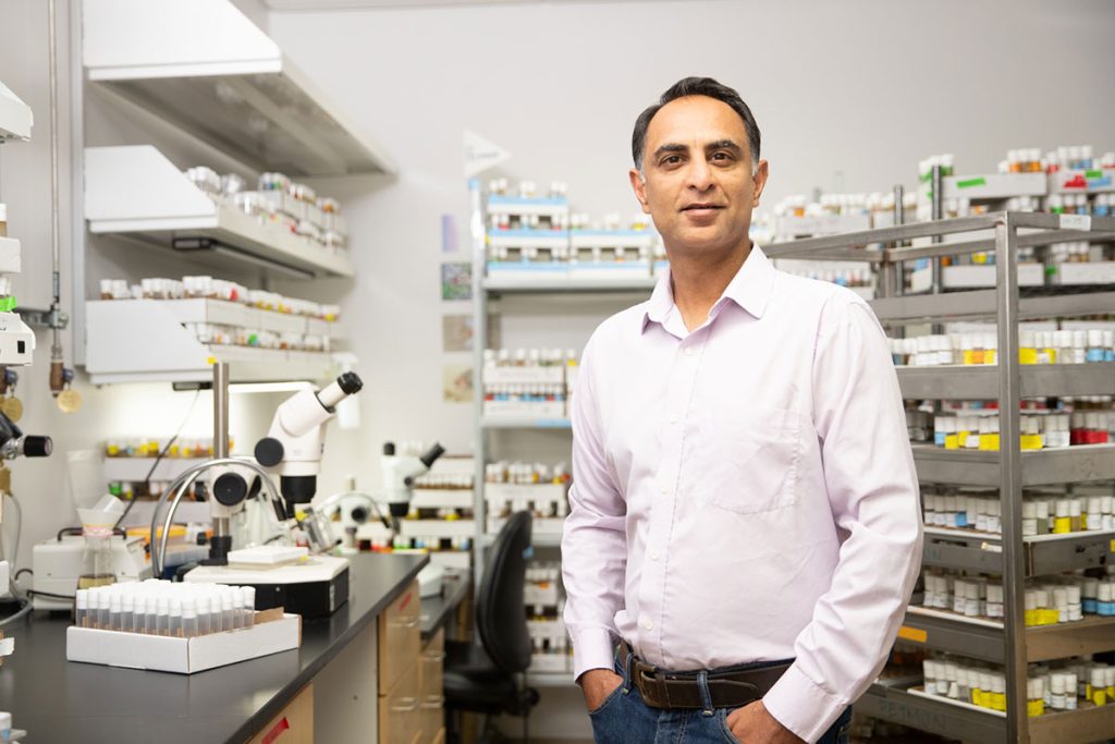 Eyeing up a non-invasive, inexpensive method to track human aging