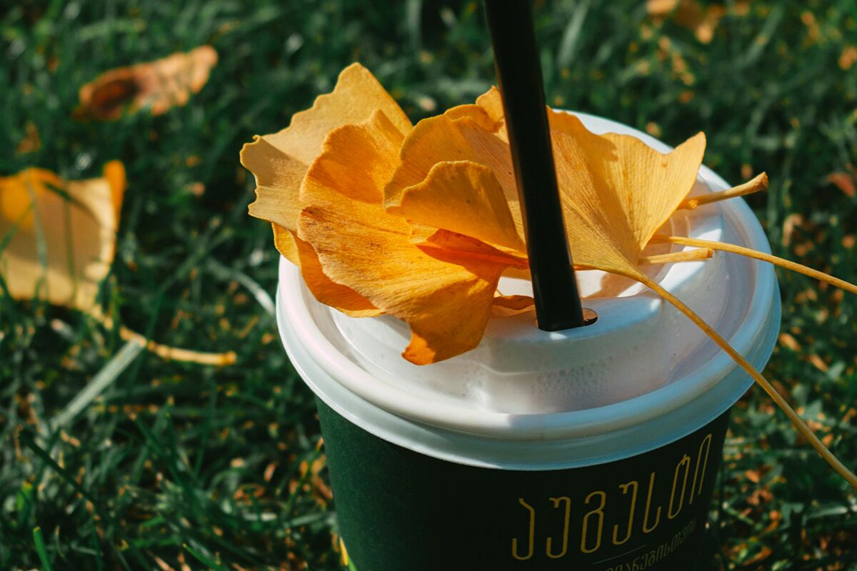 what is ginkgo biloba