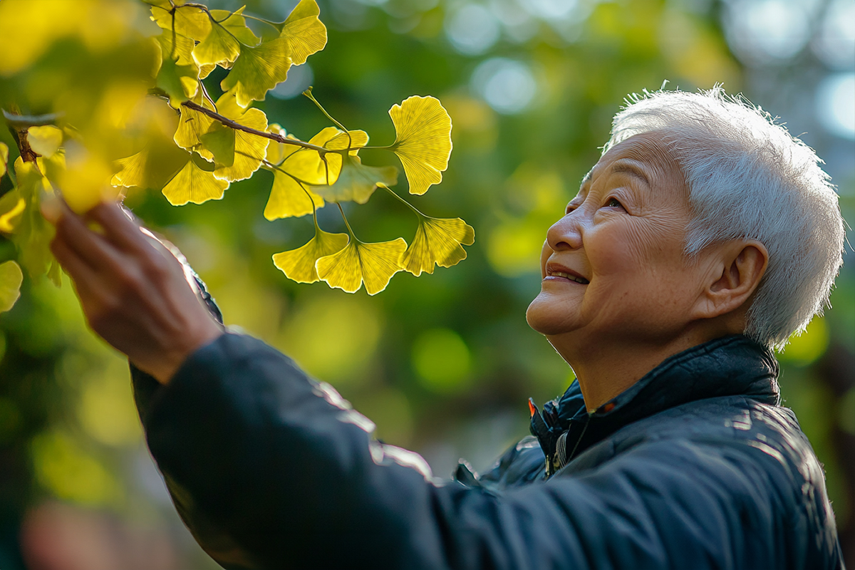 Does ginkgo biloba help with memory loss?