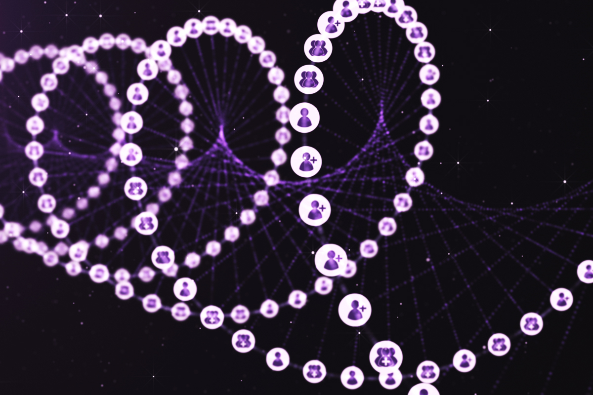 What is the function of the PTPN22 gene?