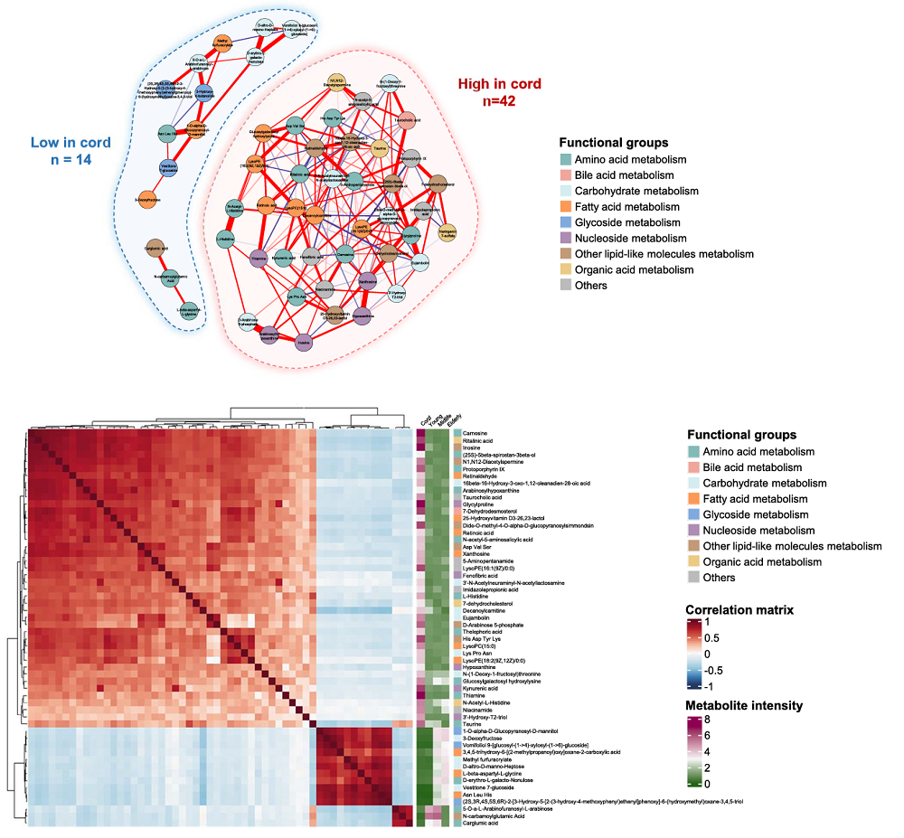 Cord metabolites 2
