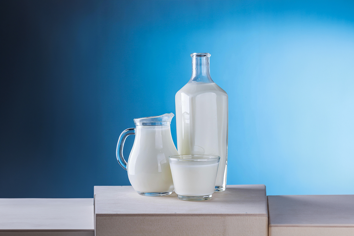 What are the benefits of lactase persistence?